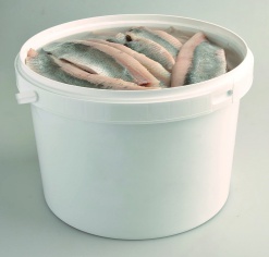 Herring fillet in salt dressing, fish by weight