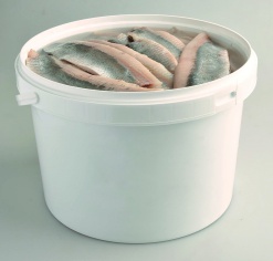 Herring fillet in oil with juniper berries